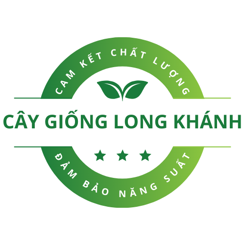 Cây Giống Long Khánh